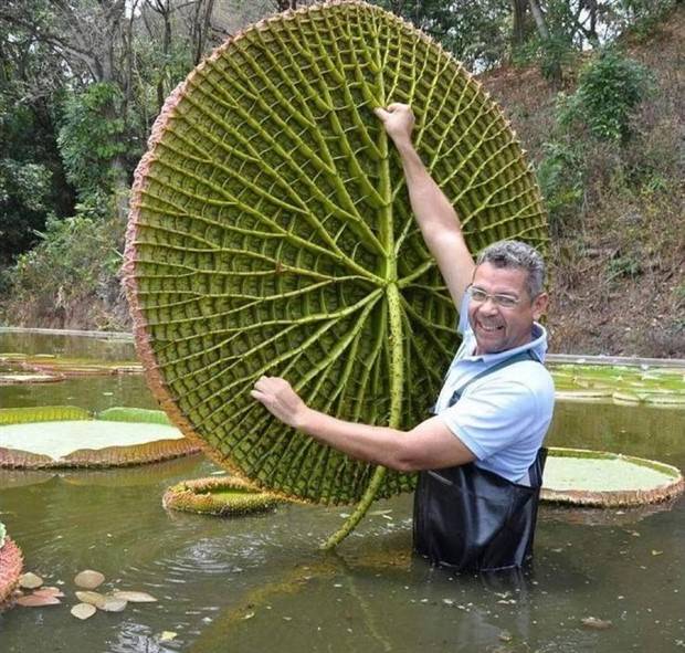 Awesome Pictures You Shouldn’t Miss #89 (27 photos)