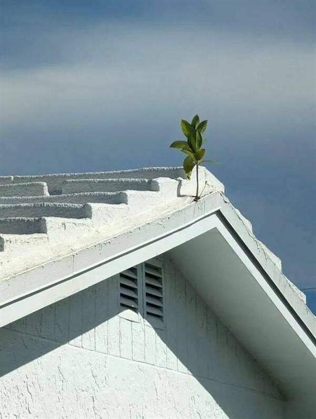 Awesome Pictures You Shouldn’t Miss #89 (27 photos)