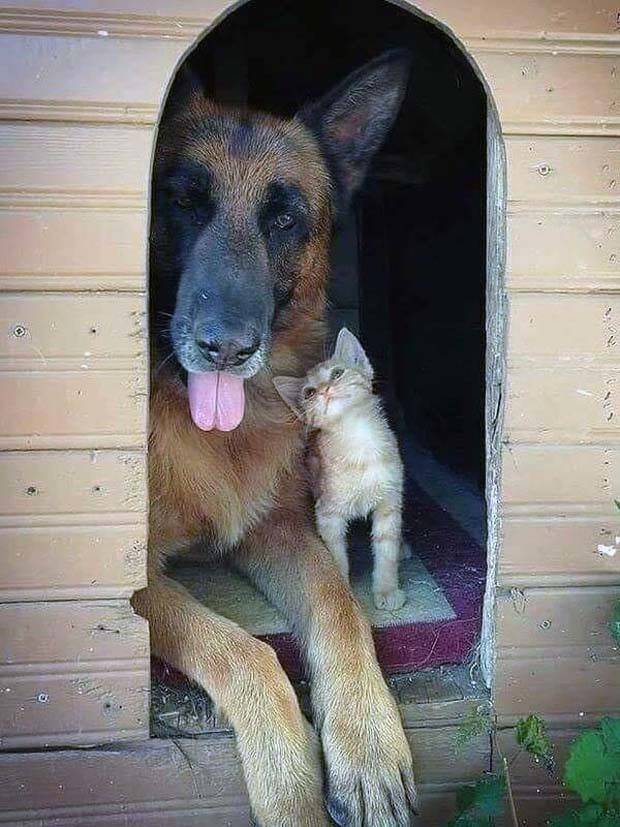 Awesome Pictures You Shouldn’t Miss #89 (27 photos)