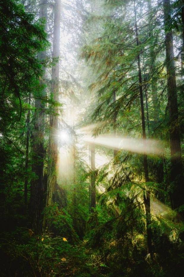 Amazing Landscapes that Leave Us Speechless #23 (28 photos)