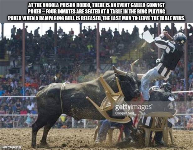 It’s Time for Some Cool and Interesting Facts #366 (31 photos)