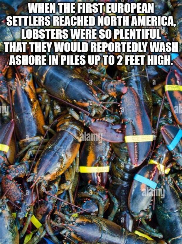 It’s Time for Some Cool and Interesting Facts #366 (31 photos)