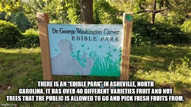 It’s Time for Some Cool and Interesting Facts #366 (31 photos)