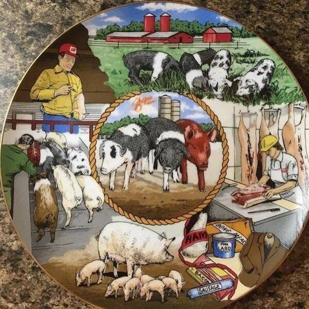 Strange Things Found in Thrift Stores #19 (29 photos)