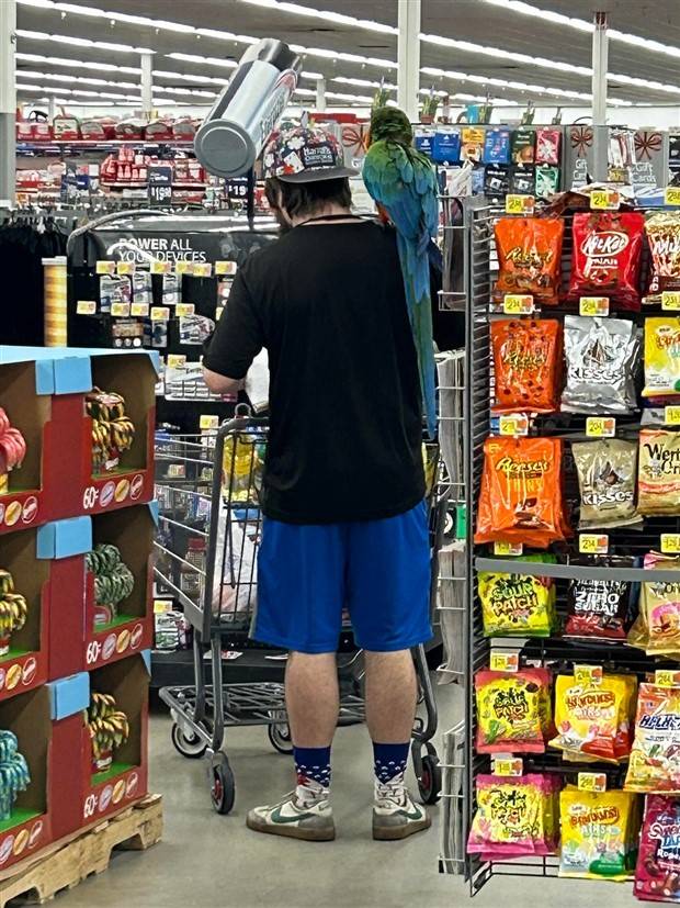 crazy walmart moments 7 Welcome to Walmart #32 (30 photos)