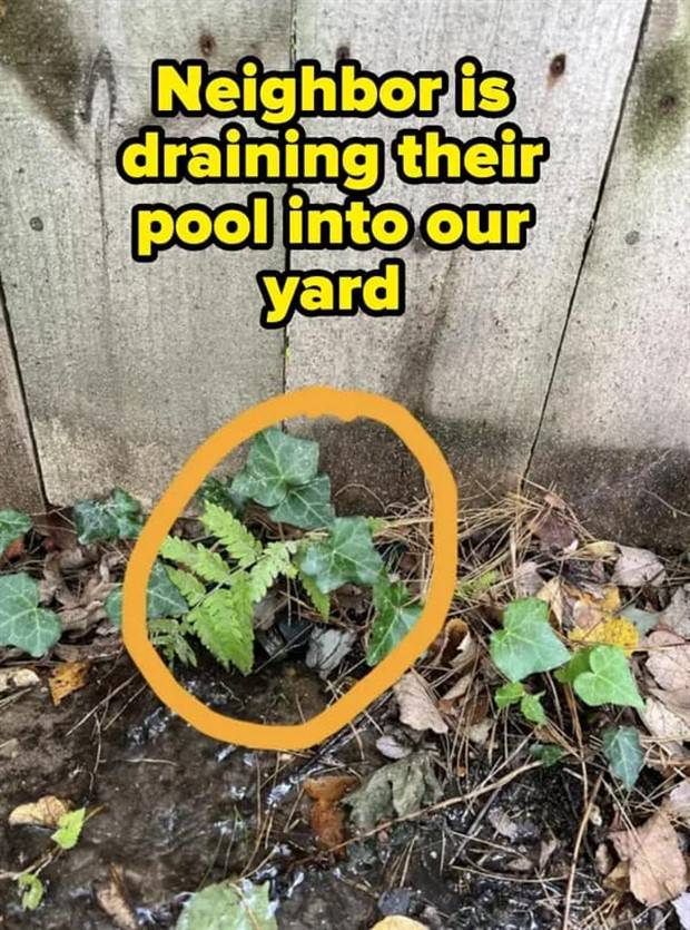 29 People You Dont Want as Neighbors (29 photos)