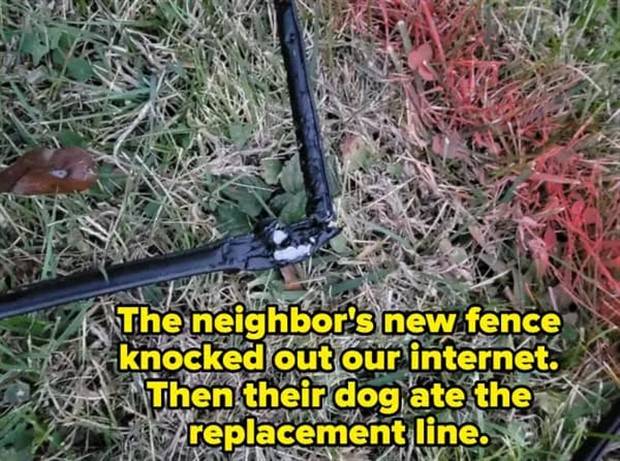 29 People You Dont Want as Neighbors (29 photos)