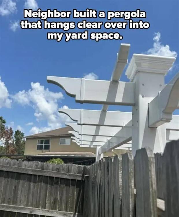 29 People You Dont Want as Neighbors (29 photos)