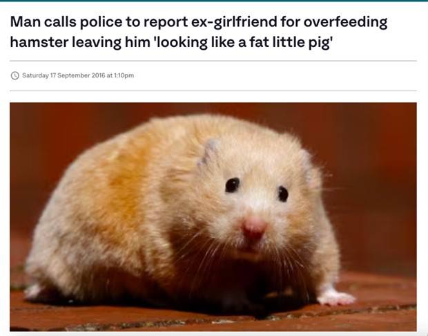 20 Unbelievable Ex Flings in the News (20 photos)