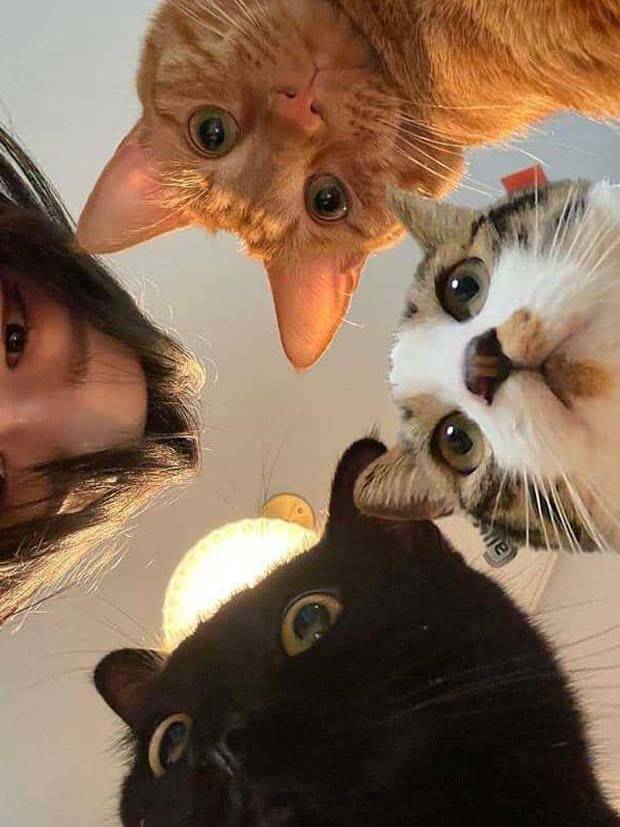 Get Ready for Funny Animals #322 (27 photos)