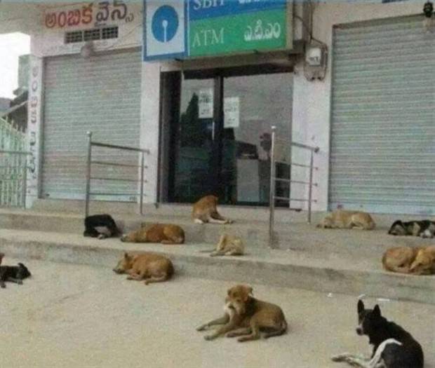 Eccentric Occurrences at ATMs (35 photos)