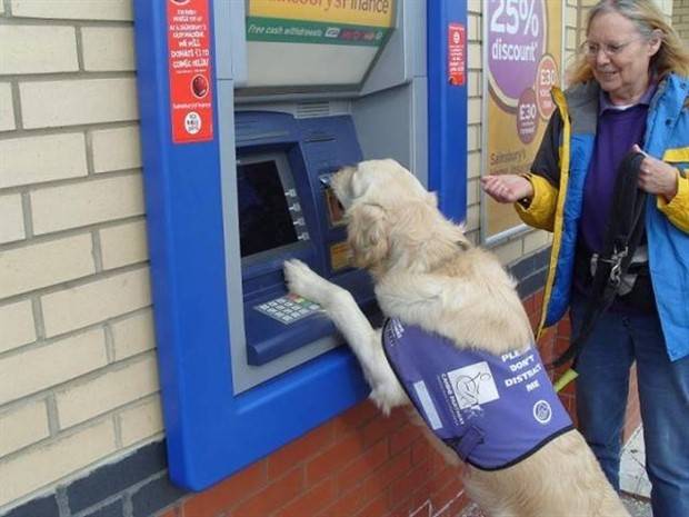 Eccentric Occurrences at ATMs (35 photos)
