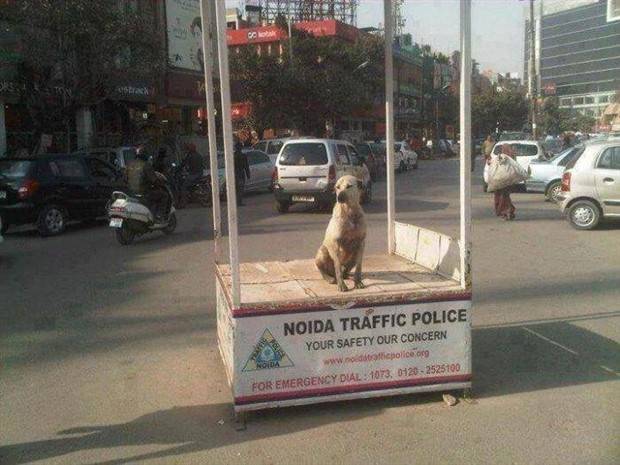 Hello Everyone from India (39 photos)