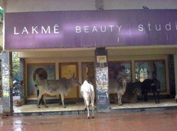 Hello Everyone from India (39 photos)