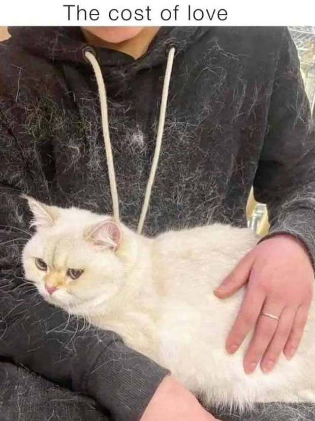 Funny Pics and Memes to Make You Laugh #88 (29 photos)