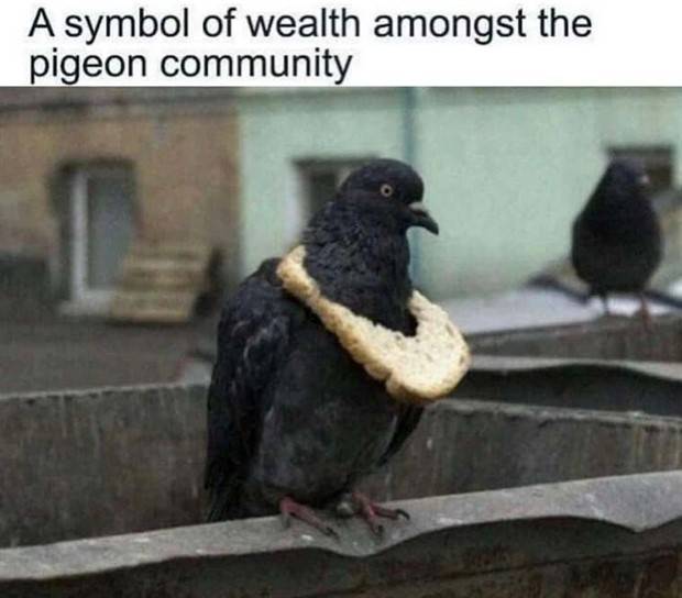 Funny Pics and Memes to Make You Laugh #88 (29 photos)