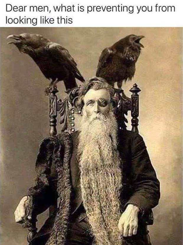 Funny Pics and Memes to Make You Laugh #88 (29 photos)