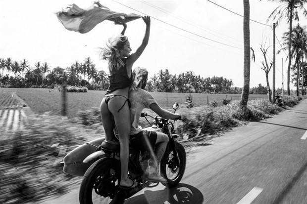 A Little Fun for Adults #337 (36 photos)