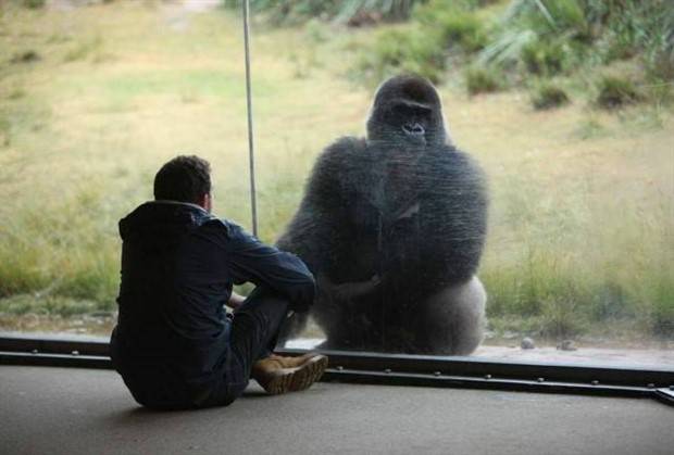 klyker picdump 2 12 2024 28 Klyker Picdump #1396 (51 photos)