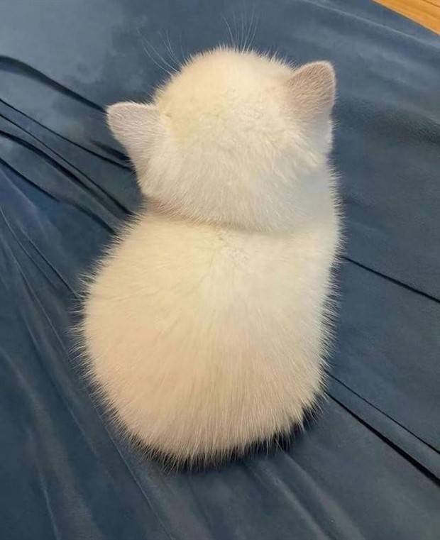 klyker picdump 2 12 2024 29 Klyker Picdump #1396 (51 photos)