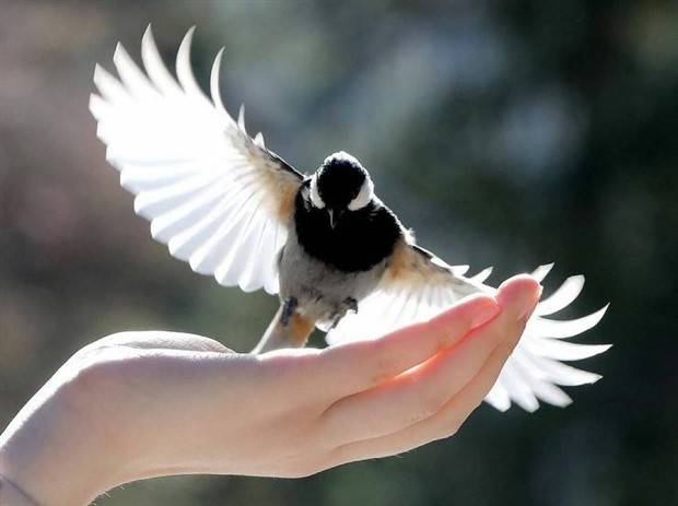 klyker picdump 2 12 2024 46 Klyker Picdump #1396 (51 photos)