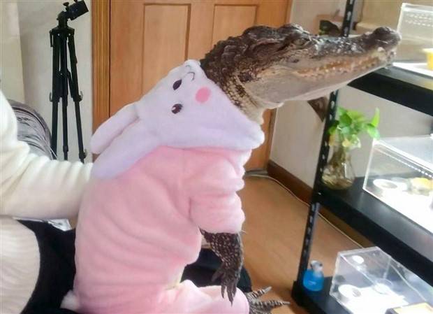 Klyker Picdump #1398 (53 photos)