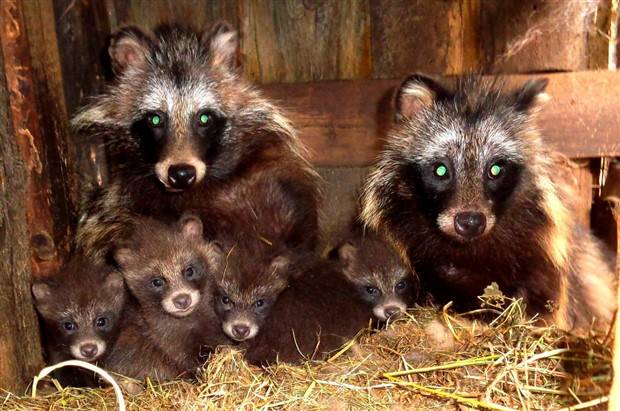 Klyker Picdump #1398 (53 photos)