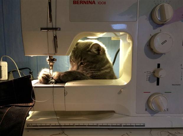 Klyker Picdump #1398 (53 photos)