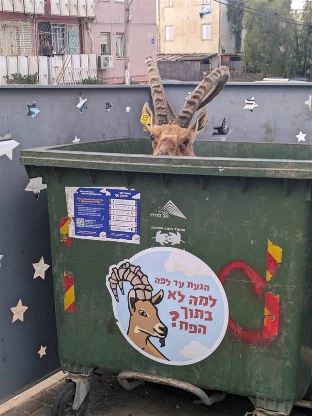 Klyker Picdump #1398 (53 photos)