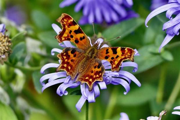 Klyker Picdump #1398 (53 photos)