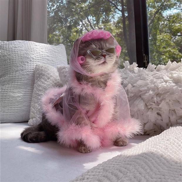 Klyker Picdump #1398 (53 photos)