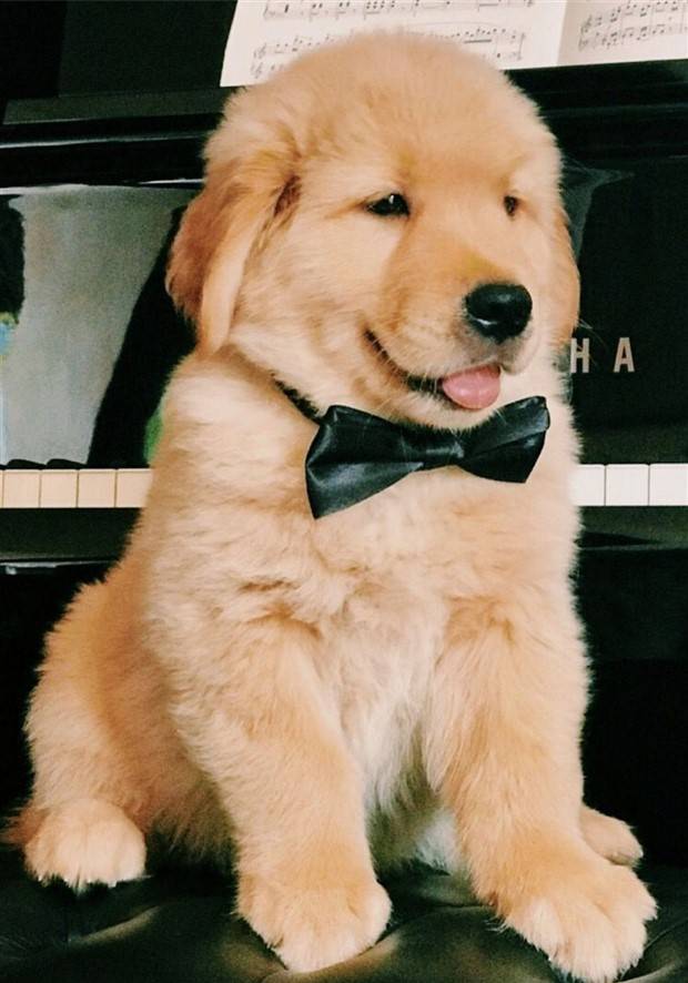 Klyker Picdump #1398 (53 photos)