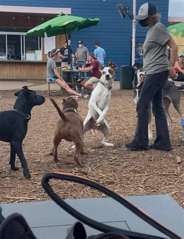 Klyker Picdump #1398 (53 photos)