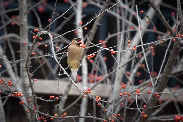 Klyker Picdump #1398 (53 photos)