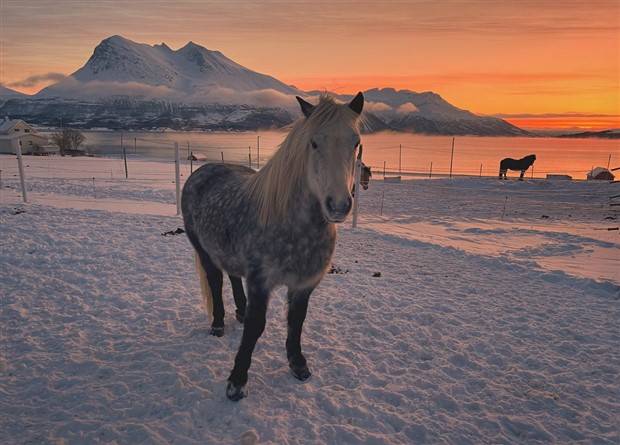 Klyker Picdump #1398 (53 photos)