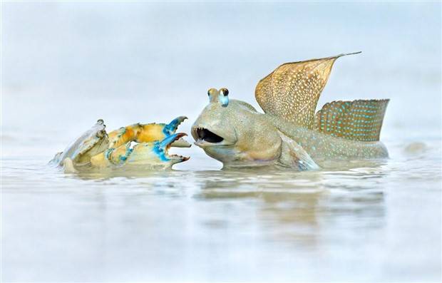 Klyker Picdump #1399 (54 photos)