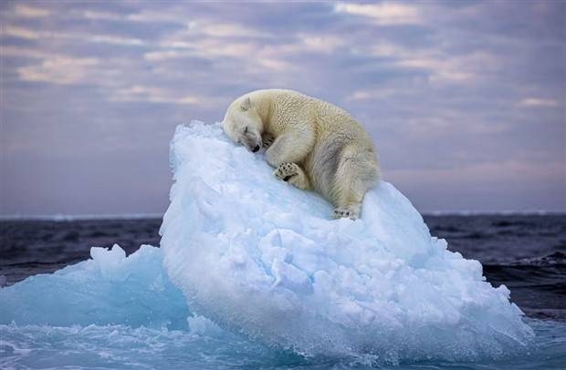 Klyker Picdump #1399 (54 photos)