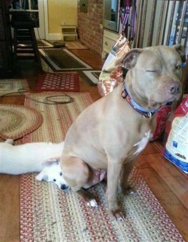 Klyker Picdump #1399 (54 photos)