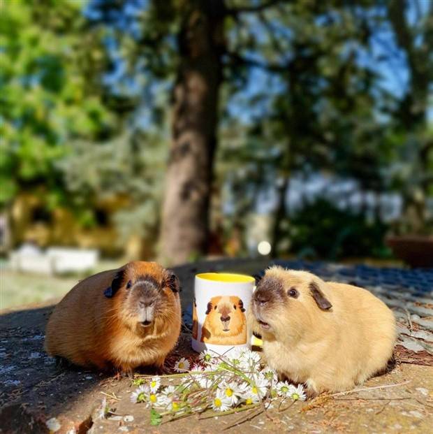 Klyker Picdump #1399 (54 photos)