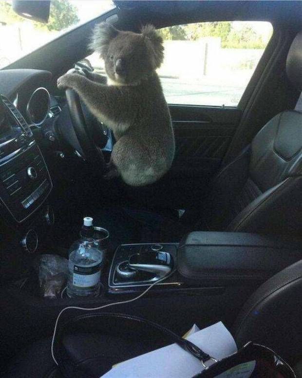 Klyker Picdump #1390 (55 photos)