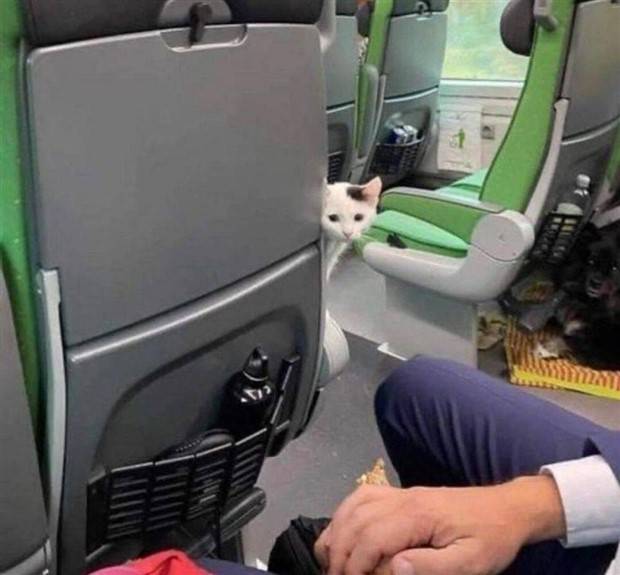 Klyker Picdump #1390 (55 photos)