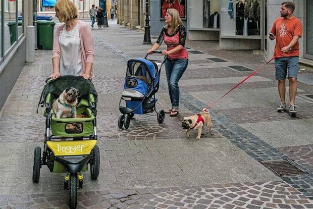 Klyker Picdump #1390 (55 photos)