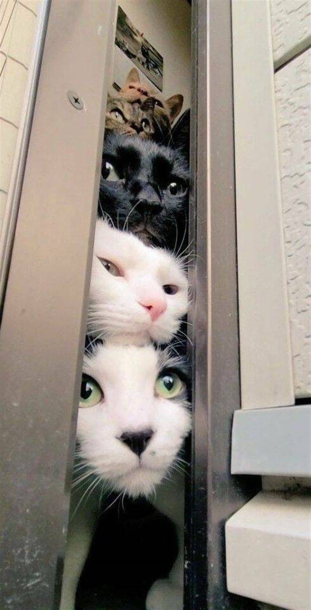 Klyker Picdump #1390 (55 photos)