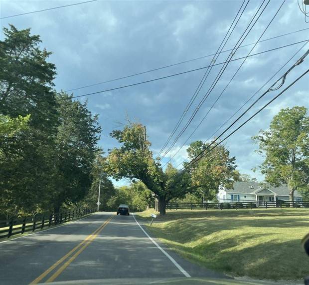 Klyker Picdump #1390 (55 photos)