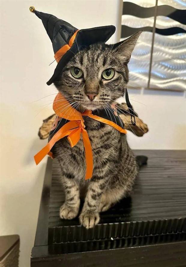 Klyker Picdump #1390 (55 photos)