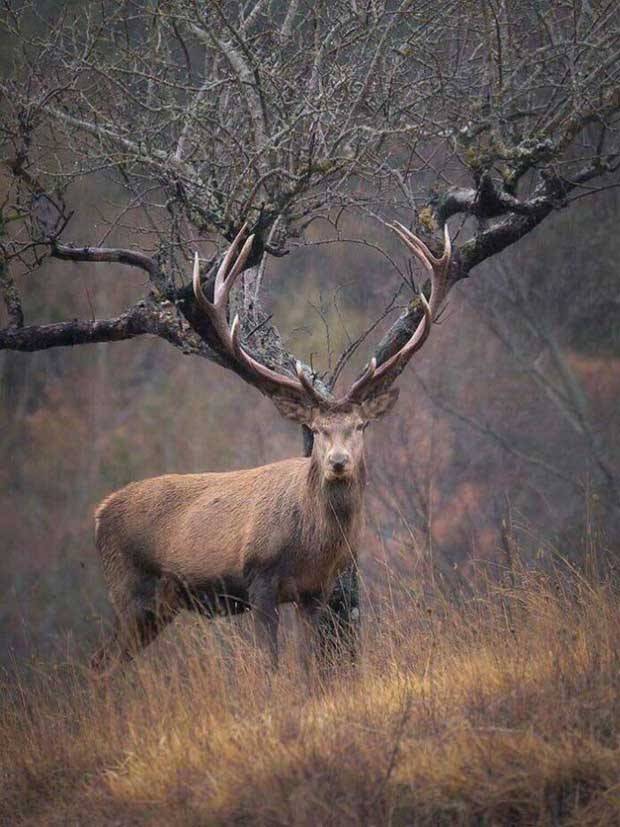 Klyker Picdump #1403 (53 photos)