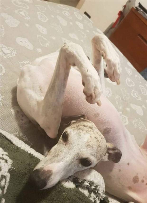 Klyker Picdump #1403 (53 photos)