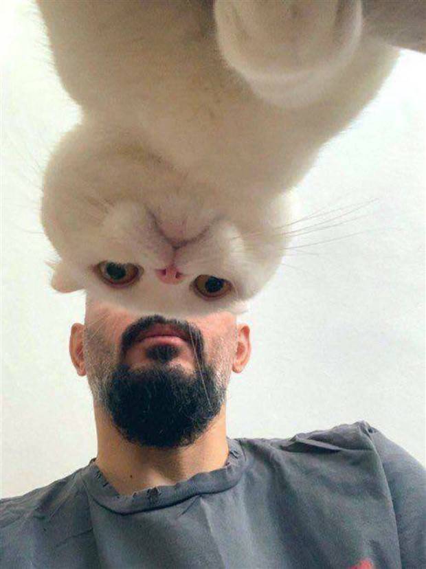 Klyker Picdump #1403 (53 photos)