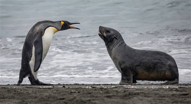 Klyker Picdump #1403 (53 photos)