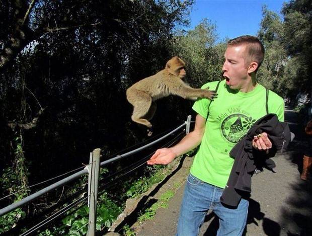 Klyker Picdump #1403 (53 photos)